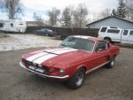 1967 Shelby GT 350 Boston 001.jpg