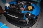 Shelby 1.jpg