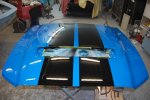 Shelby 3.jpg