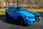 Shelby 5.jpg