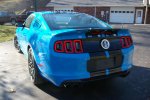 Shelby 7.jpg