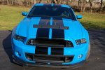 Shelby 8.jpg