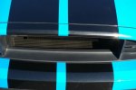 Shelby 9.jpg