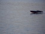 100_0089_zps8f8c7ed7.jpg