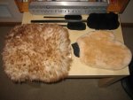 IMG_3123.jpg