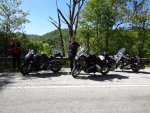 DSC00279.jpg