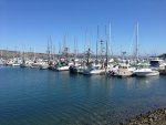 IMG_8245.jpg