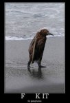 IMG_1065.jpg