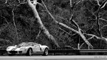 20140209-001.jpg
