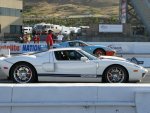 IMG_0599.jpg