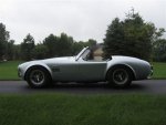 Cobra 3.jpg