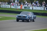 DSC_0240.jpg