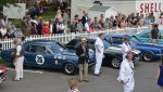 Assembly area Pre race Goodwood Revival 2014.JPG
