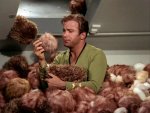 Kirk_surrounded_by_Tribbles.jpg