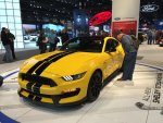 IMG_3376.jpg