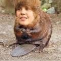 j beaver.jpg