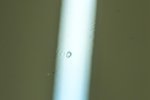 5D3-9753.jpg