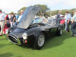 IMG_6242 (Large).jpg