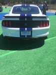 IMG_5488 copy.jpg