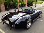 Cobra pic December 2015 XI.jpg