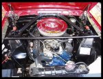 gt350 2.jpg