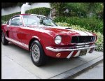 gt350 3.jpg