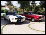 gt350 4.jpg