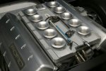 SHELBY20.jpg