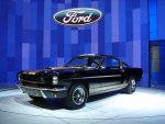 Shelby-Hertz-2-thumb.jpg