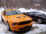 my shelby 022 (Small).jpg
