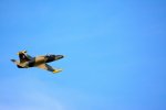 JUL-14-2013-083-849x566.jpg