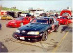 TBird & Ferraris.jpg