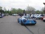 IMG_8242x.jpg