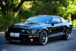 07 Shelby.jpg
