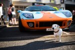 DSC_5735.jpg