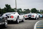 DSC_8796.jpg