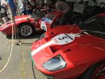 IMG_6632.jpg