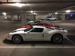 IMG_7871.jpg