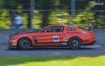 IMG_3212.jpg