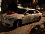 IMG_4281.jpg