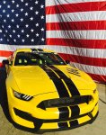 GT350Flag.jpg