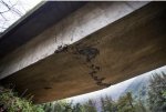 Highway 1 Bridge.jpg