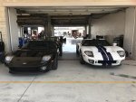 IMG_2561.jpg