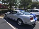 IMG_1017.jpg