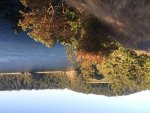 IMG_1218.jpg