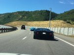 IMG_5177 (2)_LI.jpg