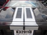 fordgt rear stripe.jpg