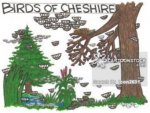 Birds of Cheshire.   CartoonStock  .jpg