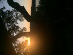 IMG_0821.jpg
