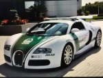 Dubai Police IMG_0410.jpg